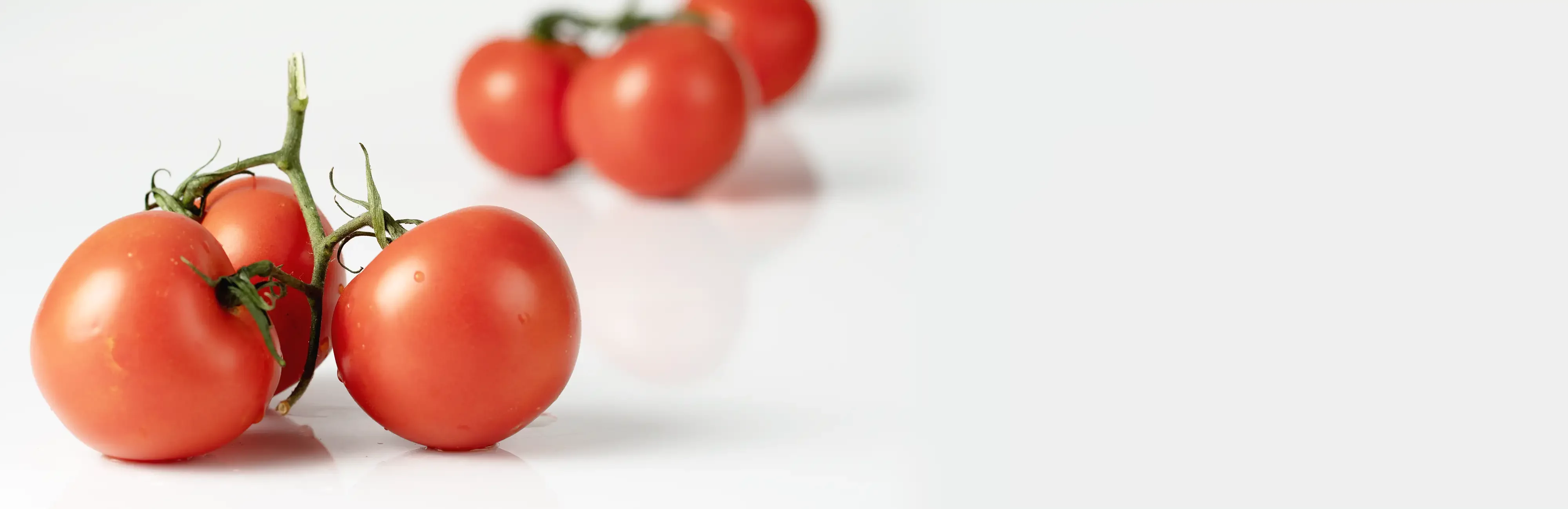 Saatgut für Tomaten – verpackt auf einer SN Maschinenlösung